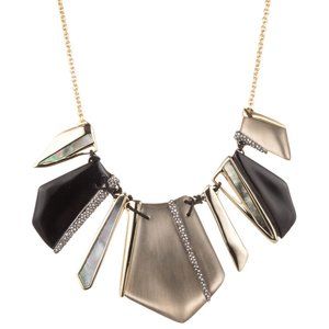 Laced Shared Black Lucite Necklace